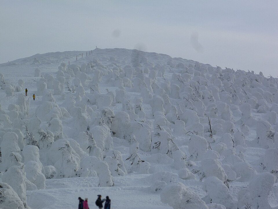 山形市・蔵王の樹氷