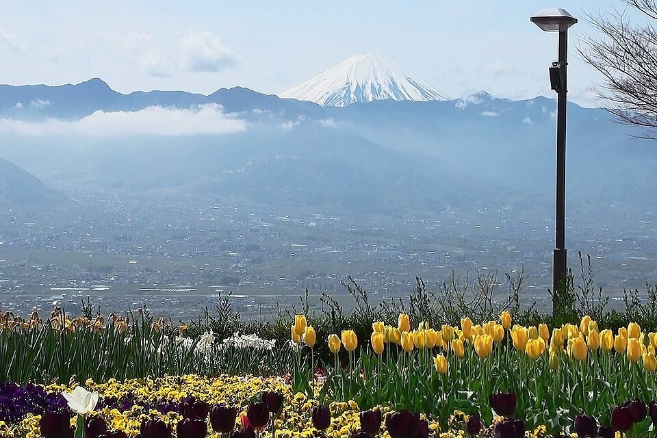 甲府盆地と富士山